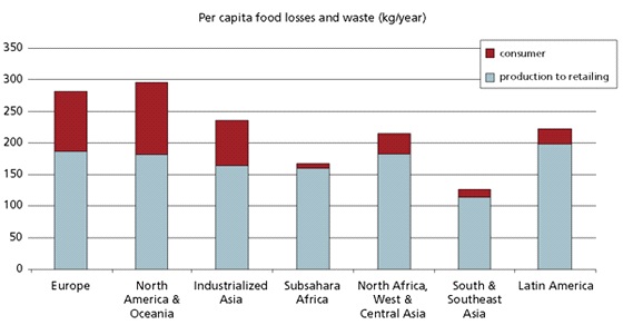 Per capita food losses and waste